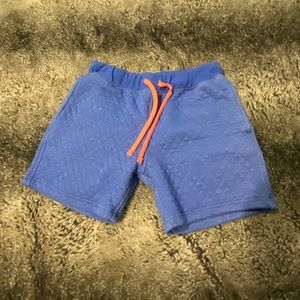 Chubbies sweat shorts